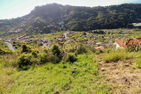Helårsgrund i Camara de Lobos, Madeira, Camara de Lobos - € 40.000 | Ref: ONE361961-27 - foto 5