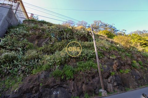 Helårsgrund i Camara de Lobos, Madeira, Camara de Lobos - € 40.000 | Ref: ONE361961-27 - foto 7