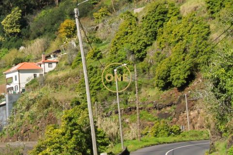 Helårsgrund i Camara de Lobos, Madeira, Camara de Lobos - € 40.000 | Ref: ONE361961-27 - foto 8