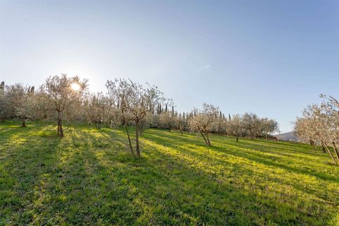 Erhvervsejendom i Luni, La Spezia, Luni - € 40.000 | Ref: 3580 - foto 1