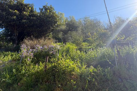 Byhus i Luni, La Spezia, Luni - € 105.000 | Ref: 3581 - foto 6