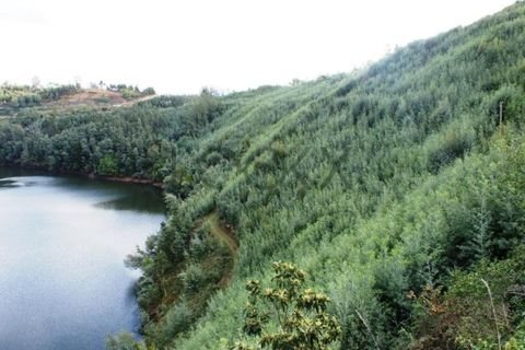 Terra a Penacova, Coimbra, Penacova - € 1.800.000 | Ref: PT012-13 - foto 4