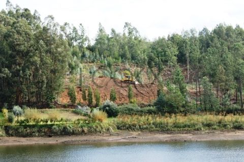 Terra a Penacova, Coimbra, Penacova - € 1.800.000 | Ref: PT012-13 - foto 5