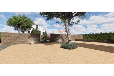 Terra a Penacova, Coimbra, Penacova - € 1.800.000 | Ref: PT012-13 - foto 6