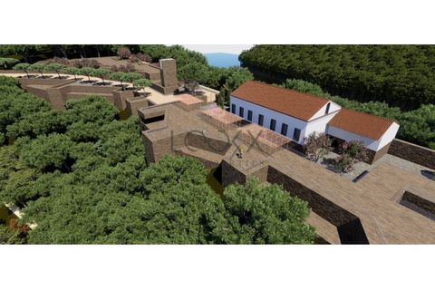 Terra a Penacova, Coimbra, Penacova - € 1.800.000 | Ref: PT012-13 - foto 11