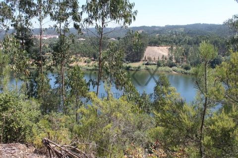 Terra a Penacova, Coimbra, Penacova - € 1.800.000 | Ref: PT012-13 - foto 16