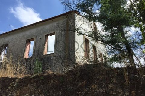 Terra a Penacova, Coimbra, Penacova - € 1.800.000 | Ref: PT012-13 - foto 18
