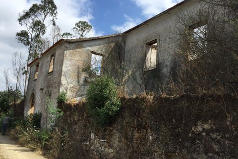 Terra a Penacova, Coimbra, Penacova - € 1.800.000 | Ref: PT012-13 - foto 21