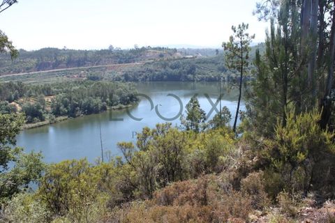 Terra a Penacova, Coimbra, Penacova - € 1.800.000 | Ref: PT012-13 - foto 22