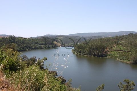 Terra a Penacova, Coimbra, Penacova - € 1.800.000 | Ref: PT012-13 - foto 23