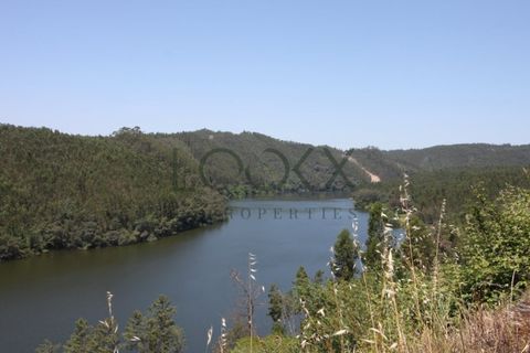 Terra a Penacova, Coimbra, Penacova - € 1.800.000 | Ref: PT012-13 - foto 24