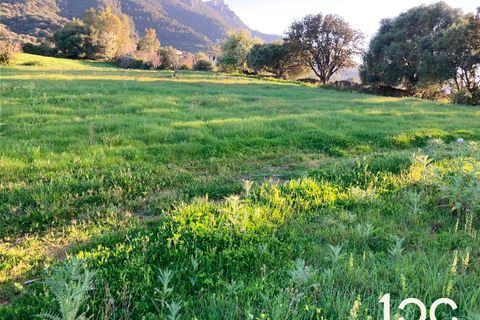 Helårsgrund i Torpe, Nuoro, Torpe - € 115.000 | Ref: PO1302 - foto 1