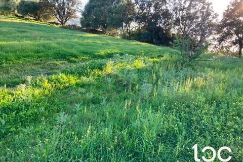 Helårsgrund i Torpe, Nuoro, Torpe - € 115.000 | Ref: PO1302 - foto 4