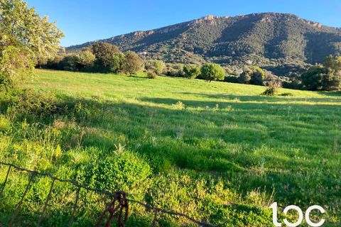 Helårsgrund i Torpe, Nuoro, Torpe - € 115.000 | Ref: PO1302 - foto 5
