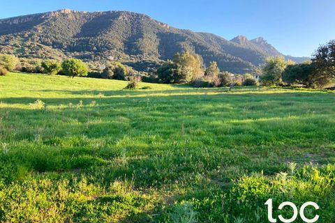Helårsgrund i Torpe, Nuoro, Torpe - € 115.000 | Ref: PO1302 - foto 6