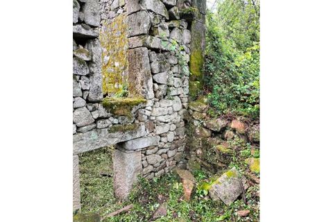 Ruinere i Talhadas, Aveiro, Talhadas - € 50.000 | Ref: 6866 - foto 4