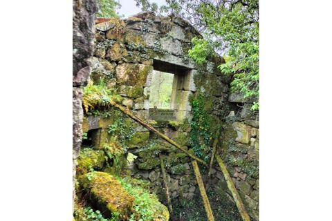 Ruinere i Talhadas, Aveiro, Talhadas - € 50.000 | Ref: 6866 - foto 8