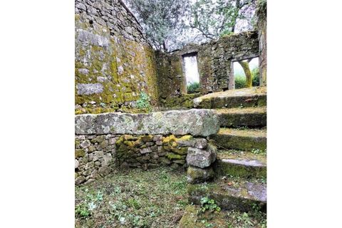 Ruinere i Talhadas, Aveiro, Talhadas - € 50.000 | Ref: 6866 - foto 10