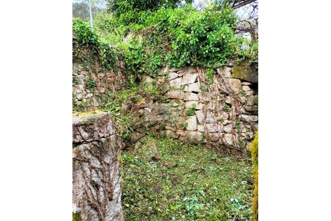 Ruinere i Talhadas, Aveiro, Talhadas - € 50.000 | Ref: 6866 - foto 11