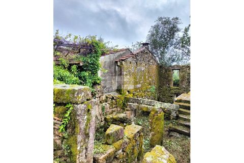 Ruinere i Talhadas, Aveiro, Talhadas - € 50.000 | Ref: 6866 - foto 14