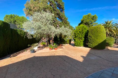 Villa en Petrer, Alicante, Petrer - € 499.995 | Ref: MM-19196 - photo 5