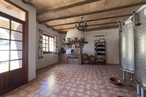 Erhvervsejendom i Binissalem, Mallorca, Binissalem - € 2.350.000 | Ref: 993 - foto 14
