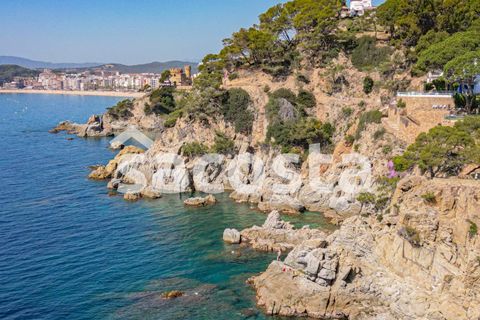 Villa a Lloret De Mar, Gerona, Lloret De Mar - € 570.000 | Ref: C01LM-318/9374 - foto 47