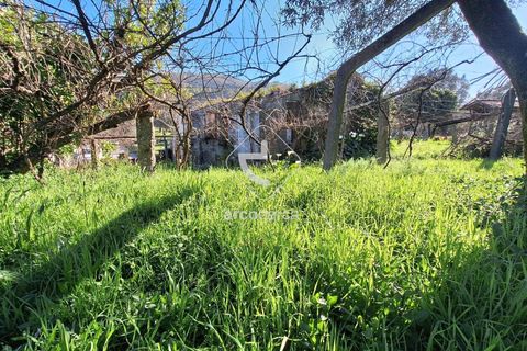 Byhus i Ponte de Lima, Viana do Castelo, Ponte de Lima - € 120.000 | Ref: AV6308 - foto 2