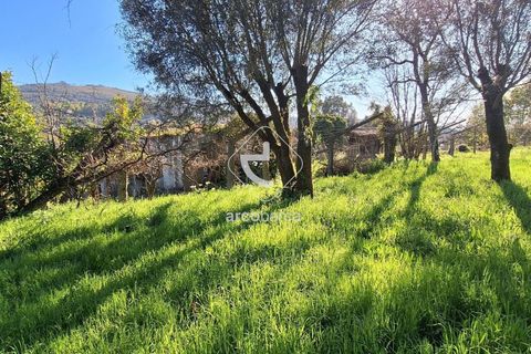 Byhus i Ponte de Lima, Viana do Castelo, Ponte de Lima - € 120.000 | Ref: AV6308 - foto 13