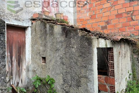 Villa a Silvares, Castelo Branco, Silvares - € 42.000 | Ref: 5516/CP-AF - foto 3