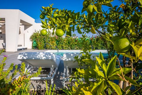 Villa en Algorfa, Alicante, Algorfa - € 630.000 | Ref: MLSC5466337 - photo 11