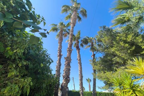 Villa i Torrevieja, Alicante, Torrevieja - € 550.000 | Ref: MLSC5033819 - foto 7