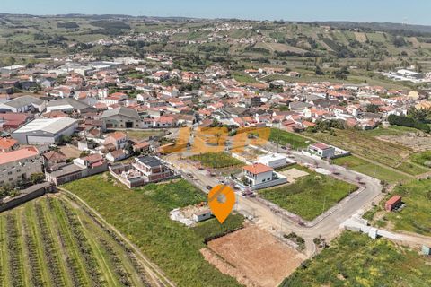 Terra a Bombarral, Leiria, Bombarral - € 44.950 | Ref: 0120 - foto 2
