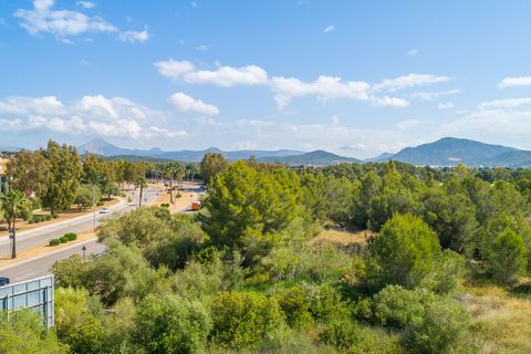 Helårsgrund i Santa Ponsa, Mallorca, Santa Ponsa - € 5.900.000 | Ref: 65082 - foto 4