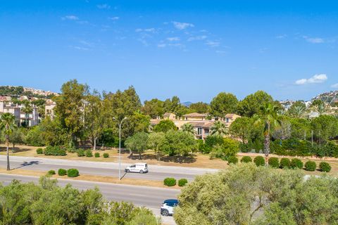 Helårsgrund i Santa Ponsa, Mallorca, Santa Ponsa - € 5.900.000 | Ref: 65082 - foto 6