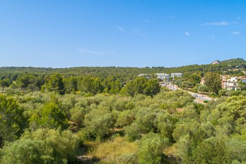 Helårsgrund i Santa Ponsa, Mallorca, Santa Ponsa - € 5.900.000 | Ref: 65082 - foto 7