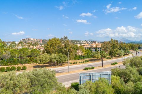 Helårsgrund i Santa Ponsa, Mallorca, Santa Ponsa - € 5.900.000 | Ref: 65082 - foto 9
