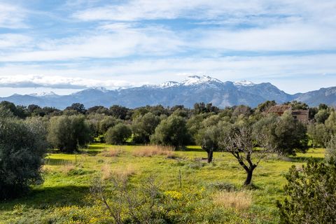 Finca i Buger, Mallorca, Buger - € 1 600 000 | Ref: 76270 - foto 25