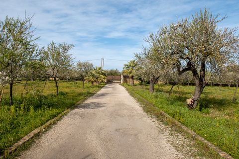 Finca i Buger, Mallorca, Buger - € 1 600 000 | Ref: 76270 - foto 27