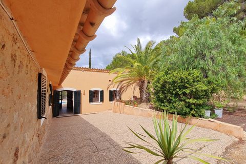 Finca i Peguera, Mallorca, Peguera - € 1.480.000 | Ref: 76360 - foto 11