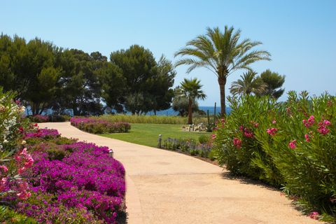 Lejlighed i Calvia, Mallorca, Calvia - € 2.490.000 | Ref: 68234 - foto 23
