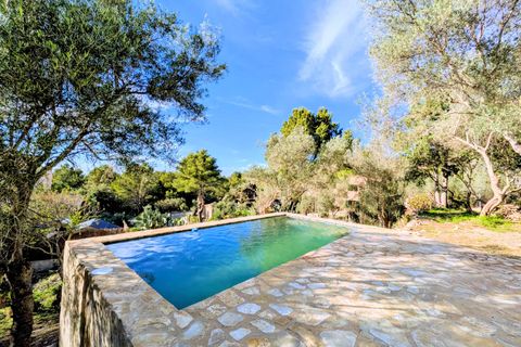 Villa i Valldemosa, Mallorca, Valldemosa - € 830.000 | Ref: 78249 - foto 3