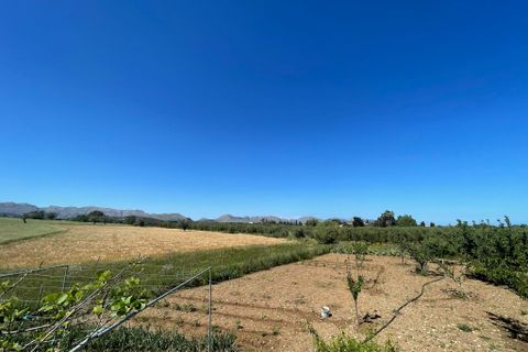Terra a Alcudia, Mallorca, Alcudia - € 950.000 | Ref: 79202 - foto 3