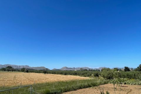 Terra a Alcudia, Mallorca, Alcudia - € 950.000 | Ref: 79202 - foto 4