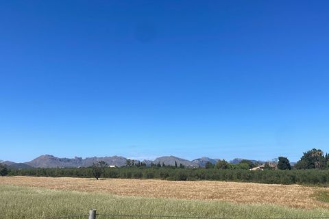 Terra a Alcudia, Mallorca, Alcudia - € 950.000 | Ref: 79202 - foto 8