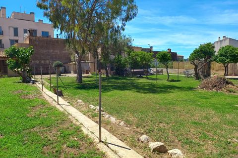 Terra a Andratx, Mallorca, Andratx - € 2.500.000 | Ref: 79315 - foto 9