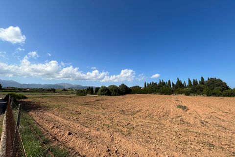 Terra a Muro, Mallorca, Muro - € 230.000 | Ref: 80138 - foto 2