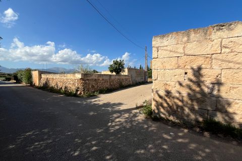Terra a Muro, Mallorca, Muro - € 230.000 | Ref: 80138 - foto 3