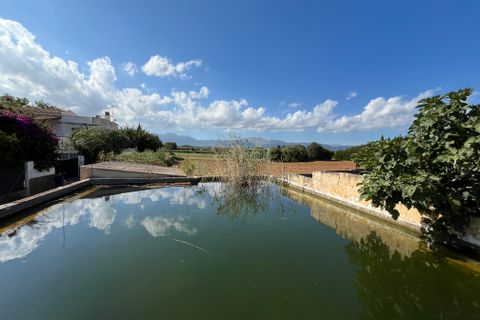 Terra a Muro, Mallorca, Muro - € 230.000 | Ref: 80138 - foto 4