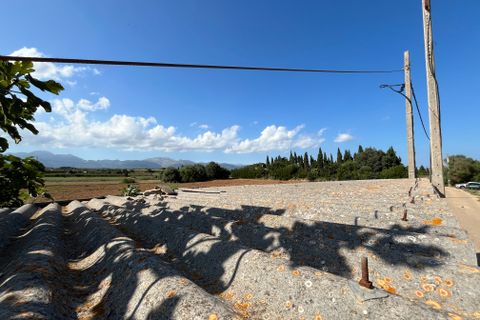 Terra a Muro, Mallorca, Muro - € 230.000 | Ref: 80138 - foto 5